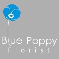 Blue Poppy Florist 1101886 Image 1
